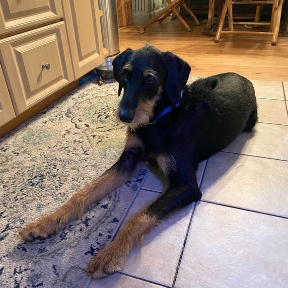 Meet your Posher, Karin - Picture 3 of 4